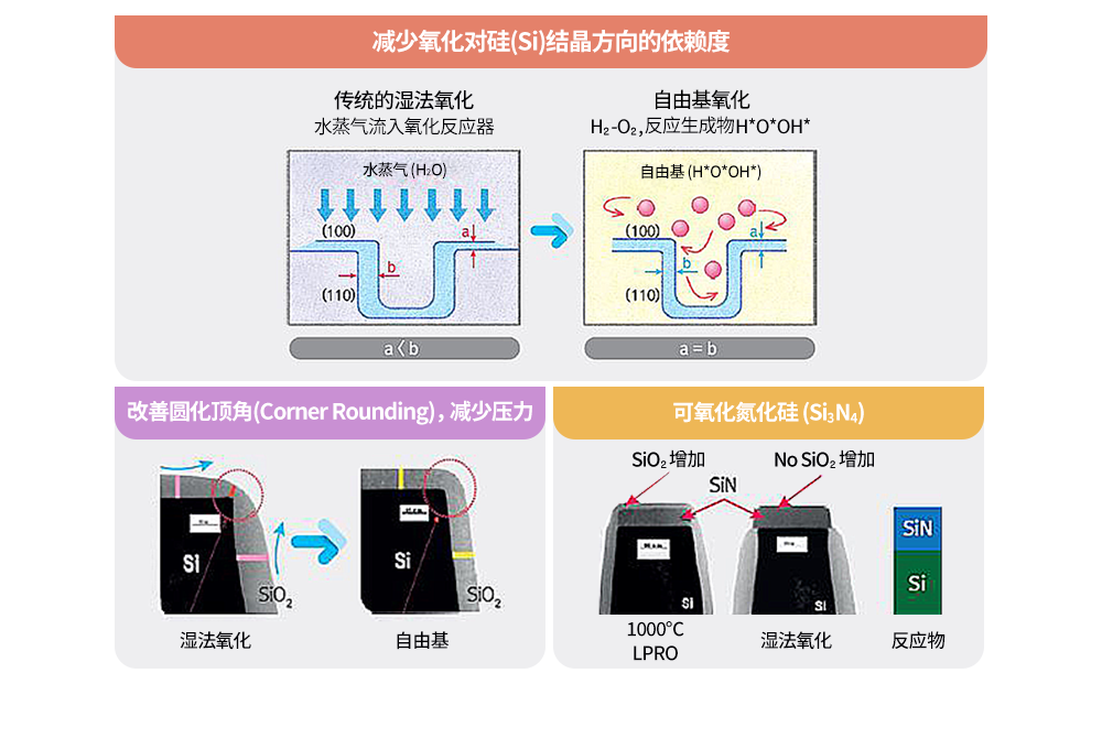 自由基氧化的特点.png