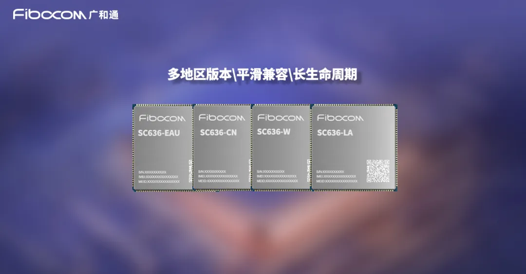 SC636-3.png