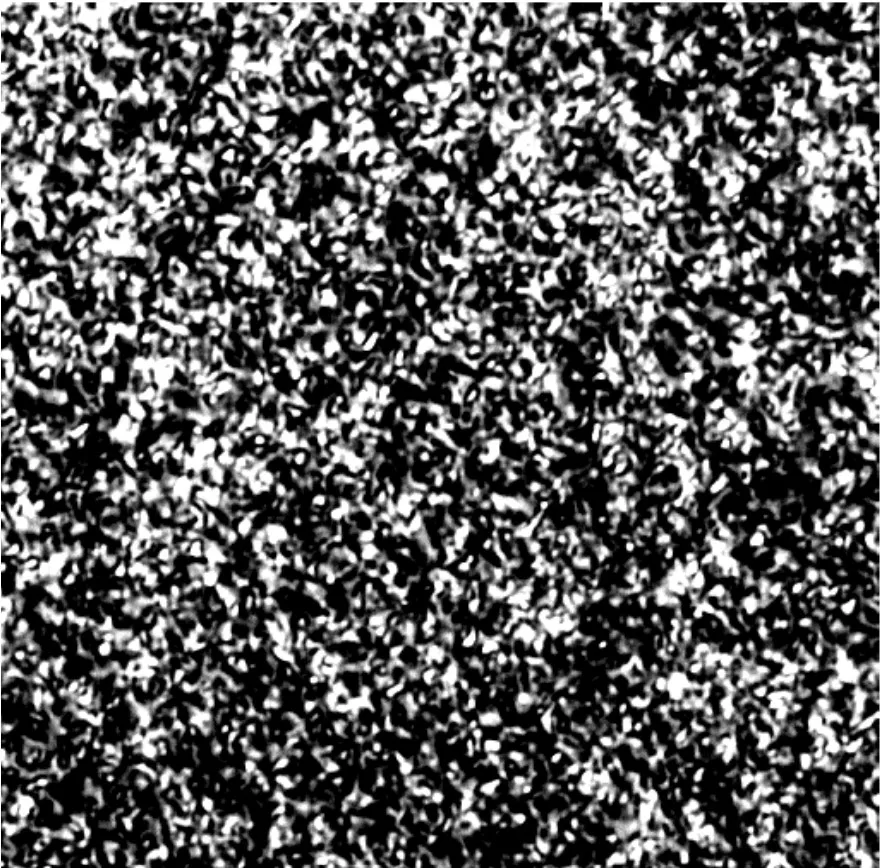 1731311316337993.png 图1:150℃进行高浓度Al离子注入.png