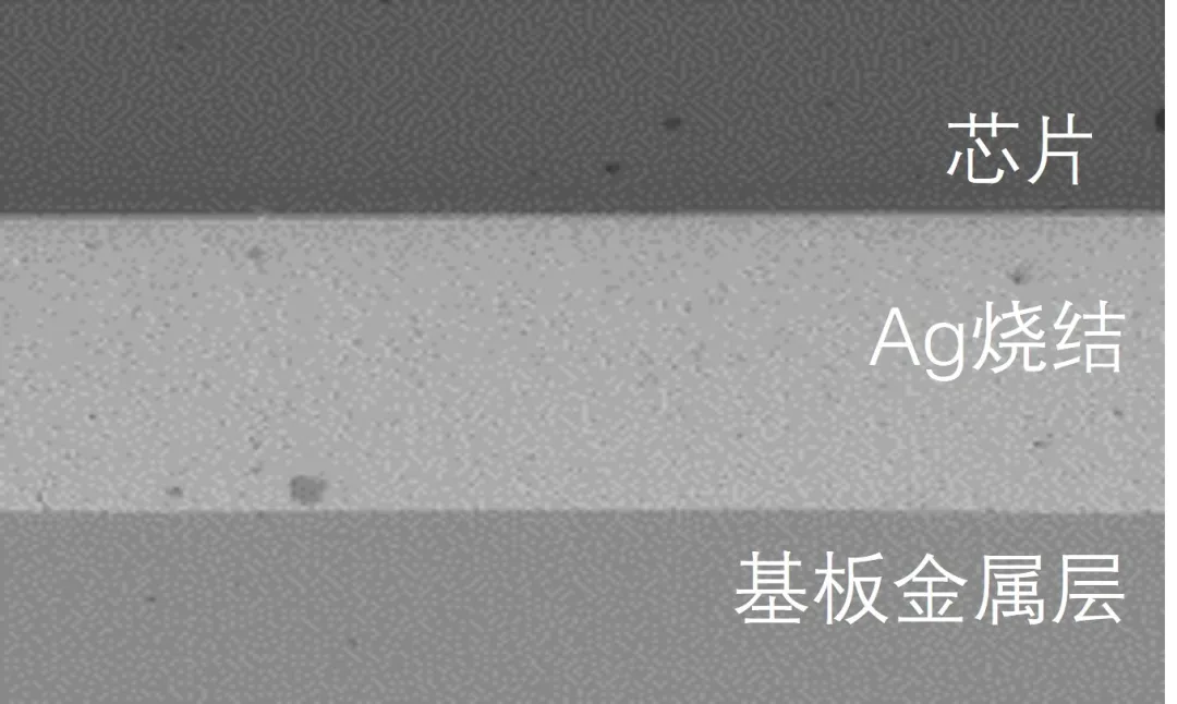 1739329355318292.png 图4:Ag烧结后的横截面图像.png