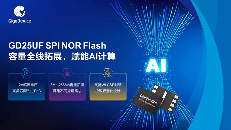 SPI NOR Flash.jpg